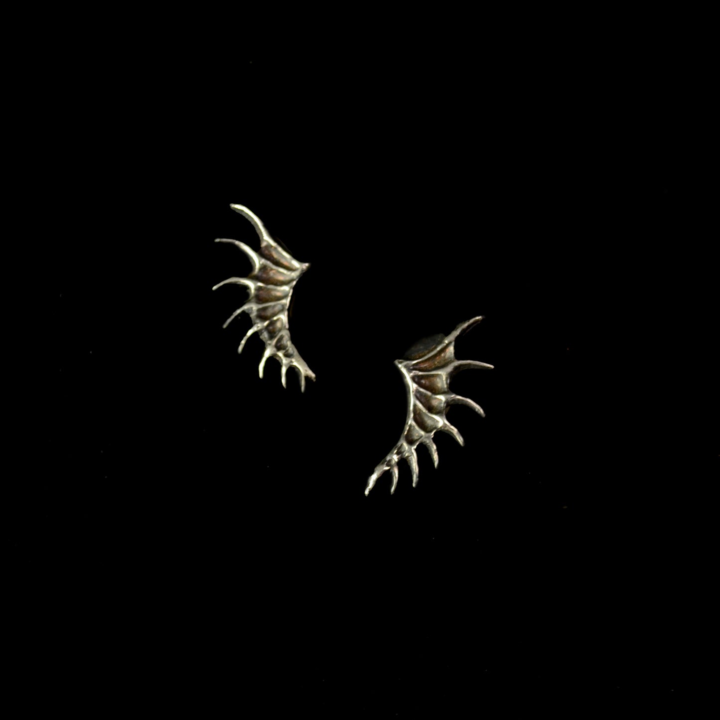 Coral Crawler Earrings