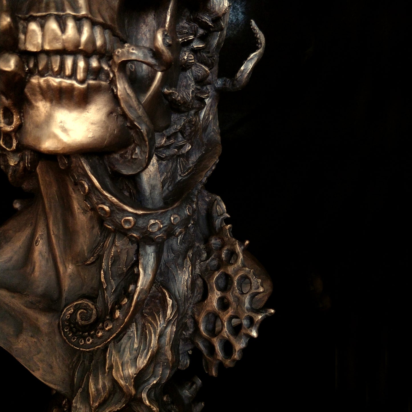 Scylla