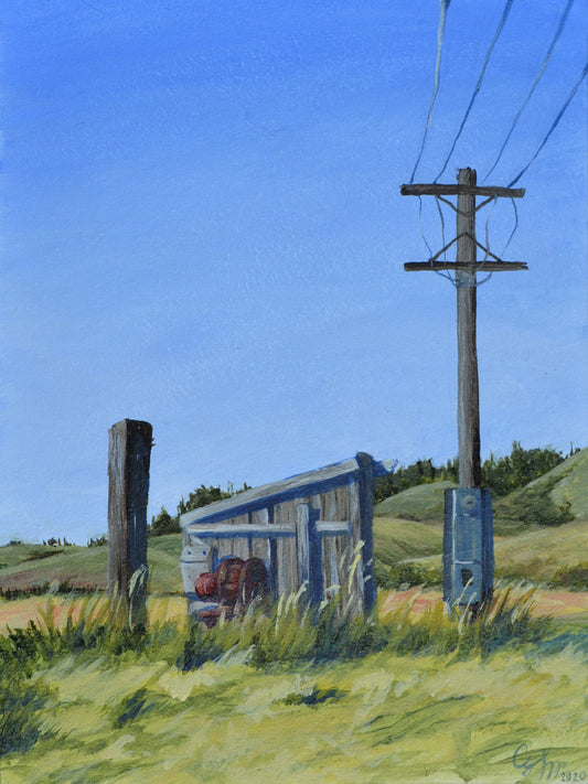 "The Field"
