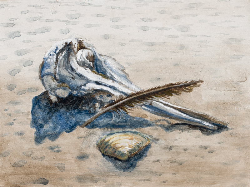 "Dolphin Skull"