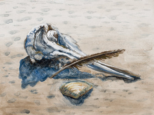 "Dolphin Skull"