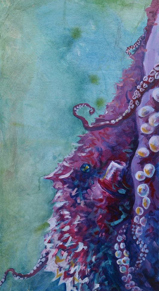 Octopus
