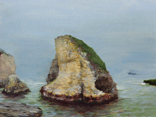 "Shark Fin Cove"